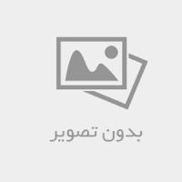 بهترین ربات ترید هوش مصنوعی برای ارز دیجیتال